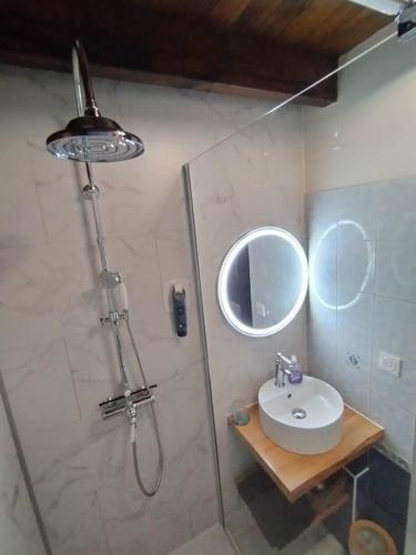 a bathroom with a shower with a sink and a mirror at A l'Orée du Parc in Saint-Priest-des-Champs