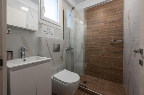 a bathroom with a shower and a toilet and a sink at SLV Roxani Apartment in Ofrínion