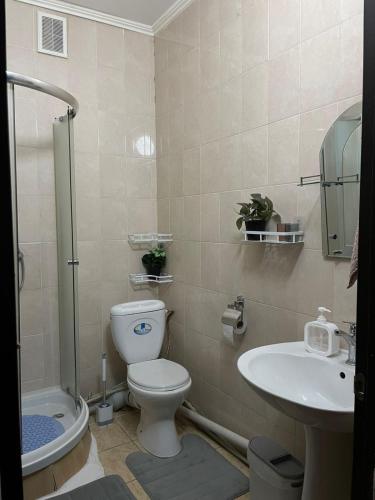 a bathroom with a toilet and a sink at Piitota in Almaty