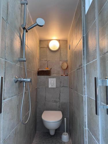 a bathroom with a shower and a toilet in it at Le miroir secret in Anglet