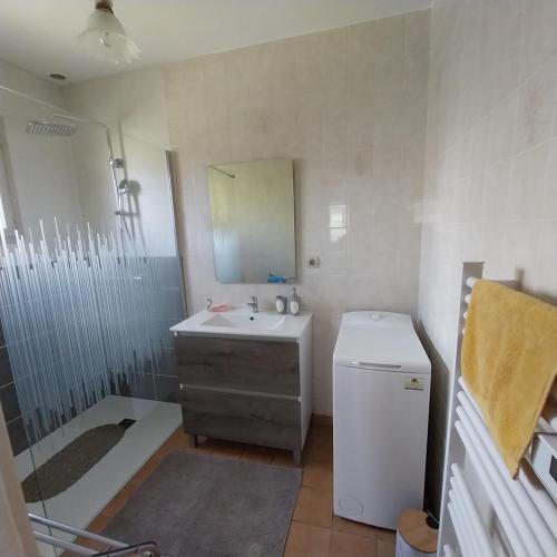 a bathroom with a sink and a shower and a toilet at La Maison Trèfle in Vieux-Rouen-sur-Bresle