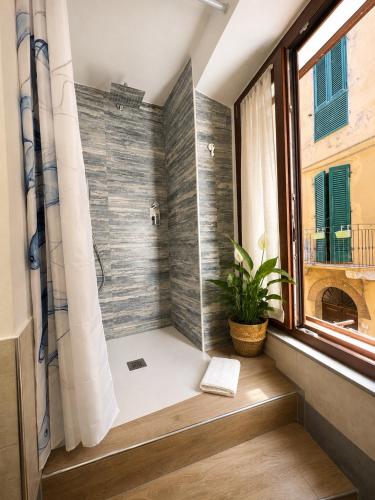a bathroom with a shower with a plant in it at Dimora Febo in Centro Storico in Piombino