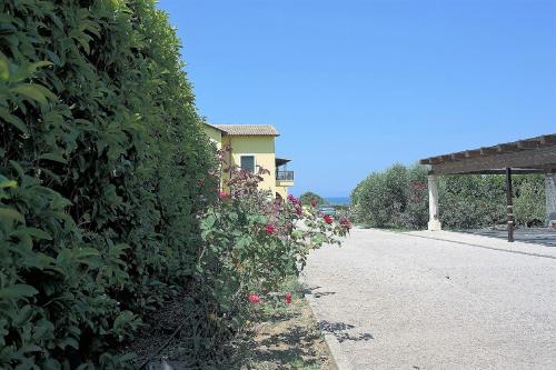 a hedge with pink flowers on the side of a road at Sea Breeze Apartment in Korakokhórion