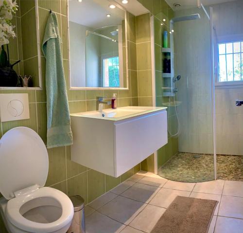 a bathroom with a toilet and a sink and a shower at Villa Flamingo GAYmen only b&b in Marseillan