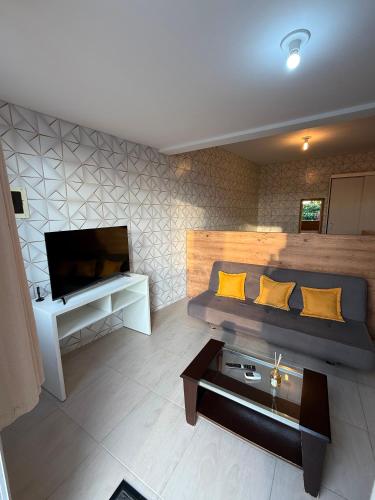 a living room with a couch and a tv at Loft 102 Farol de Santa Marta in Laguna