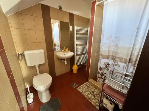 a bathroom with a toilet and a sink and a shower at Adrienn Apartman in Sárvár
