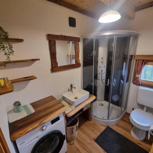 a bathroom with a shower and a sink and a washing machine at Oddih v Srčni hiški in Dvor