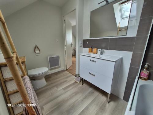 a bathroom with a white sink and a toilet at Chambres d'hotes PROCHE CIRCUIT in Arnage