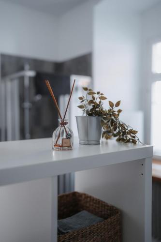 a white table with a potted plant on it at Historische, moderne Stadtwohnung in Riedlingen