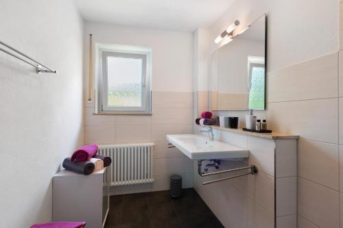 a bathroom with a sink and a mirror at Ferienwohnungen Kopp in Hagnau