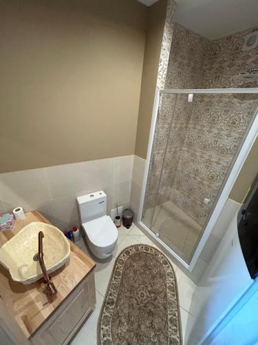 a bathroom with a shower and a toilet and a sink at Annsmuiža in Salacgrīva