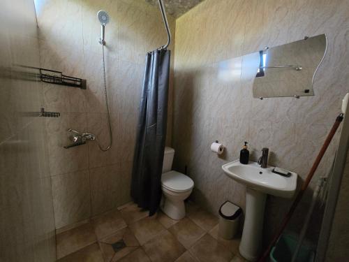 a bathroom with a shower and a toilet and a sink at Dava&Davi in Ureki