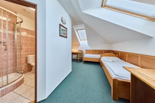 a room with a bed and a shower and a bathroom at Hotel Krakonoš in Trutnov