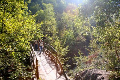 two people walking on a wooden bridge in a forest at Hotel Villa Drosos in Litochoro