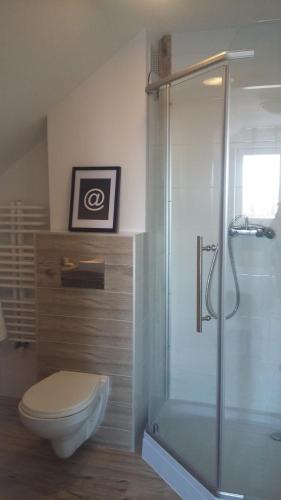 a bathroom with a toilet and a glass shower at Widokówka in Tarnobrzeg