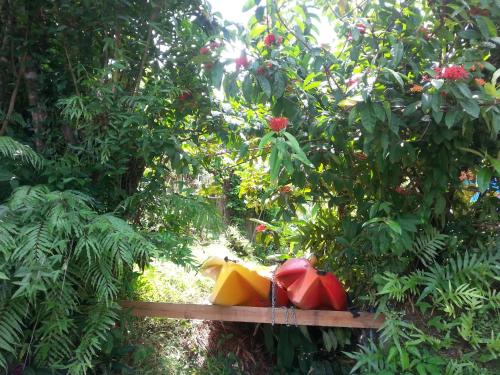 a bench with two umbrellas sitting in a tree at Gecko Lodge Fiji in Savusavu