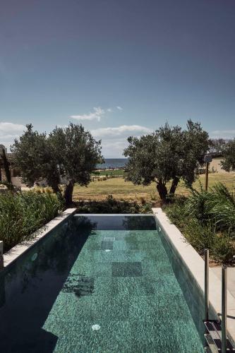 a swimming pool in a yard with trees at Zelia Halkidiki, part of Destination by Hyatt - Adults Only in Nea Potidaea