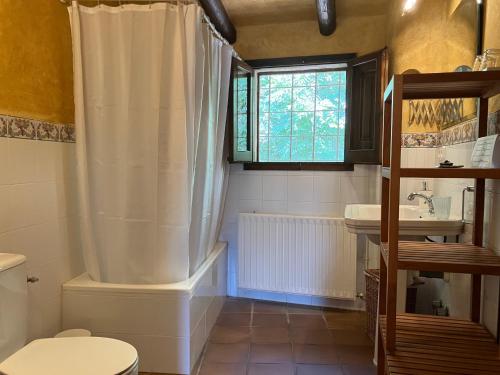 a bathroom with a shower and a toilet and a sink at Can Vila in Sant Julià del Llor