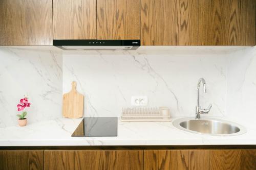 a kitchen with a sink and a counter top at Rajna Apartments in Ulcinj