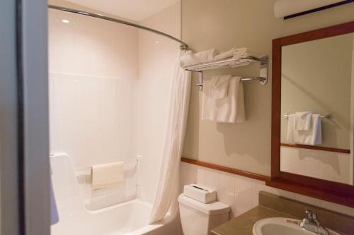 a bathroom with a toilet and a sink and a mirror at Hôtel St-Bernard in St-Bernard de Lacolle