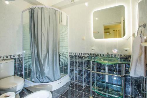 a bathroom with a shower and a toilet and a mirror at Apartment SM in Herceg-Novi