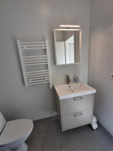 a bathroom with a sink and a toilet and a mirror at Hólmahjáleiga Guesthouse in Hvolsvöllur