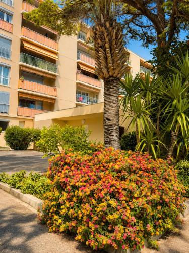 Convenient studio in Antibes