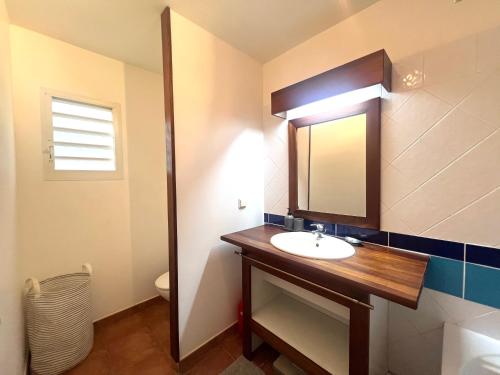 a bathroom with a sink and a mirror at Marisol les pieds dans l eau in Le Gosier