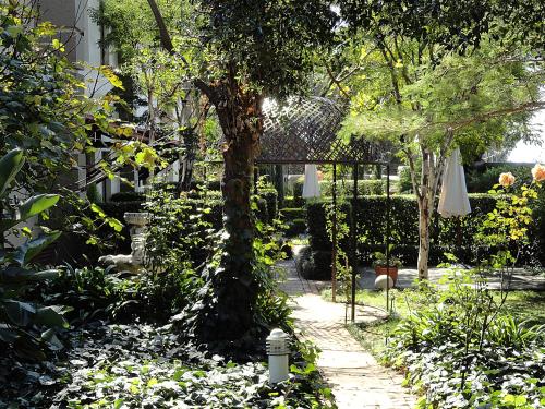 Taman di luar Constantia Manor Guest House