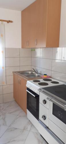 a kitchen with a stove and a sink at Sušica Apartman in Kovačka Dolina