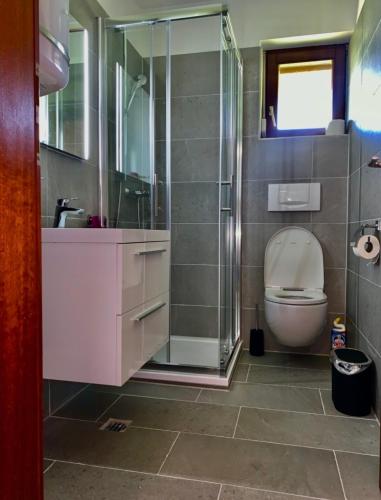 a bathroom with a toilet and a glass shower at Appartment im Schwarzwald in Furtwangen