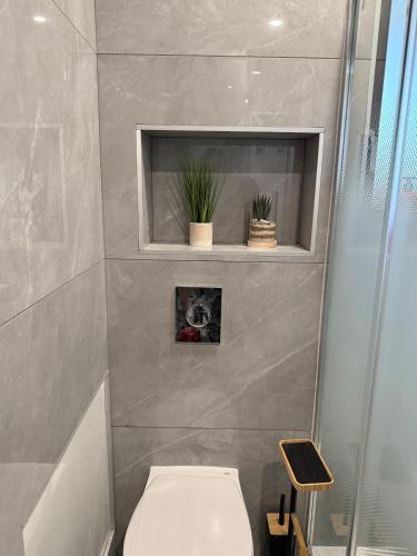 a bathroom with a toilet and two plants on a shelf at Cocon de Montluçon in Montluçon