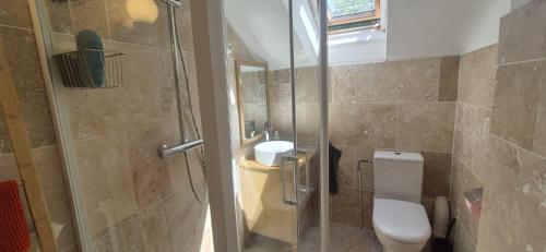 a bathroom with a shower and a toilet and a sink at Charmante Maison à Recloses in Recloses