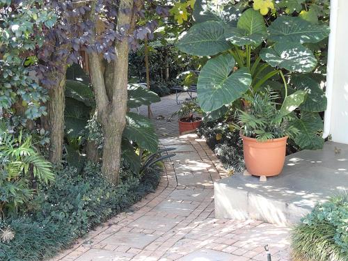 Taman di luar Constantia Manor Guest House