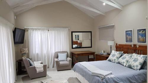 a bedroom with a bed and a desk and a chair at Haines Haven in Albinia