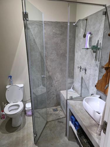 a bathroom with a shower and a toilet and a sink at Haines Haven in Albinia
