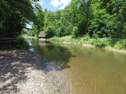 a river with trees on the side of it at Apartmán Belko in Hrádek