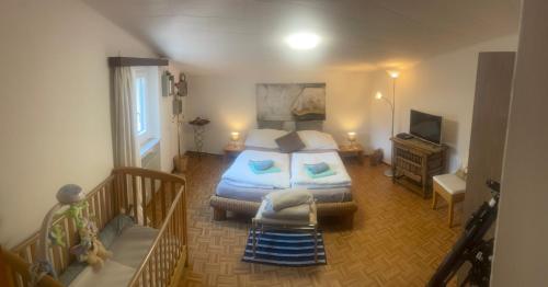 a bedroom with a bed and a television in it at Armonia edificio storico del 1563. in Cevio