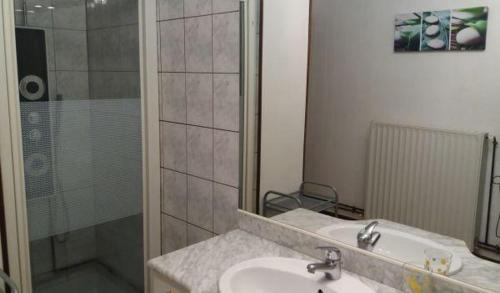 a bathroom with a sink and a glass shower at Gîte de la Buissonniere in Grand-Failly