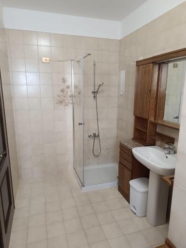 a bathroom with a shower and a sink at Casa di Brokka in Calvecchia