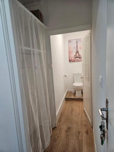 a bathroom with a toilet and a shower curtain at Church View Apartments in Châteauneuf-Val-de-Bargis