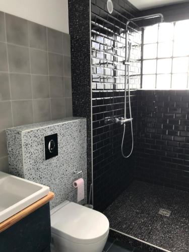 a bathroom with a shower and a toilet and a sink at Les Marais 2 in Le Pré-Saint-Gervais