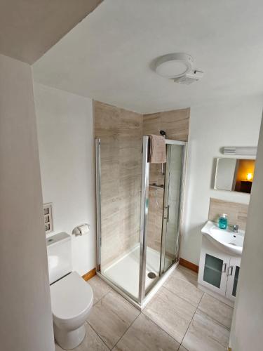 a bathroom with a shower and a toilet and a sink at Boherbui B&B in Doolin