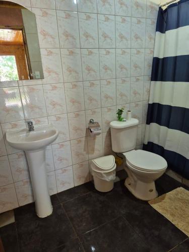 ein Badezimmer mit Toilette und Waschbecken in der Unterkunft Camping Las Torcacitas in Yerbas Buenas