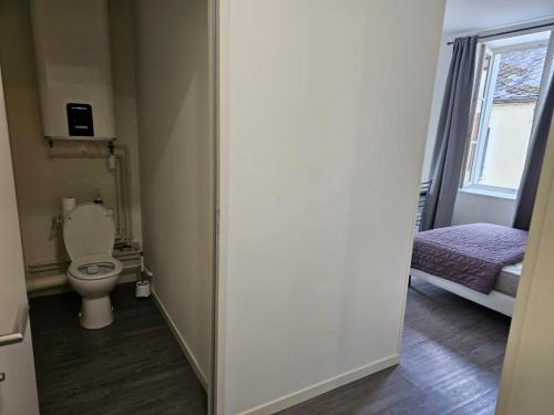 a small bathroom with a toilet and a bed at Studio in Bonny-sur-Loire