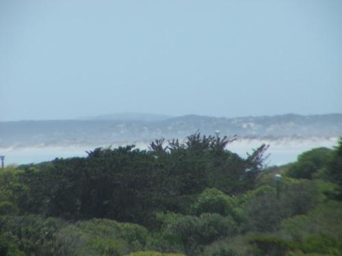a view of the ocean from a hill with trees at Breakaway Apartment with Balcony in Yzerfontein