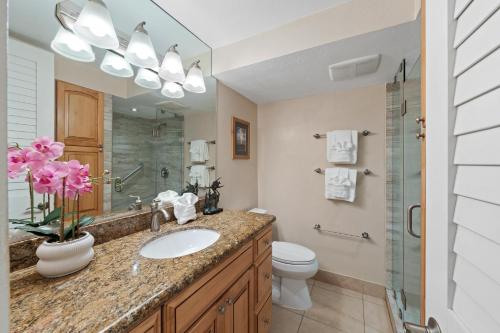 a bathroom with a sink and a toilet and a mirror at Kaleialoha 211 · KA 211 OceanFront 1BD Whale Watch Relax Getaway in Kahana