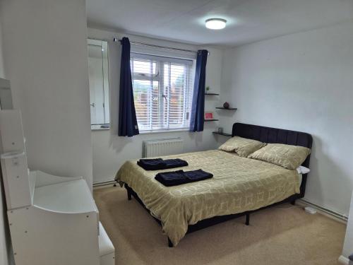 a bedroom with a bed and a window with blue curtains at Cozy Flat in Steyning