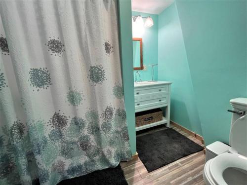 a bathroom with a shower curtain and a toilet at Ahmeek-5 in Dover