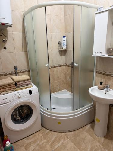 a shower with a washing machine in a bathroom at Studio apartman Budex in Đenovići